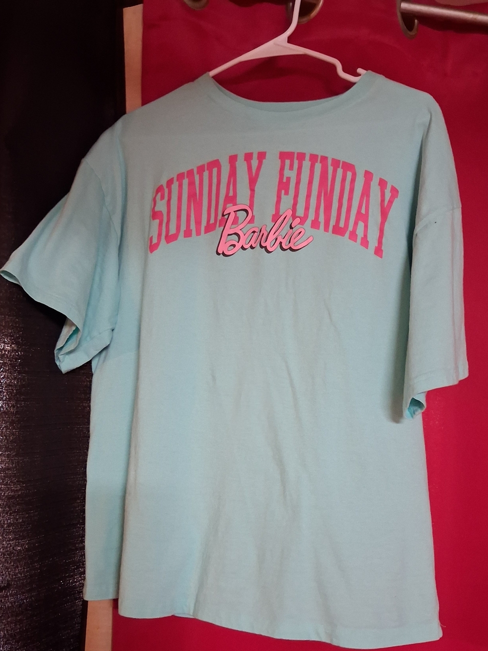 Barbie Light Teal Short Sleeve Tee with Pink 'Sunday Funday' Graphic